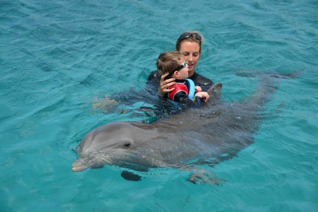 Delphintherapie Curacao 2015: Bild 17 von 47