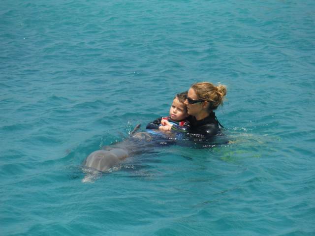 Delphintherapie Curacao 2015: Bild 28 von 47